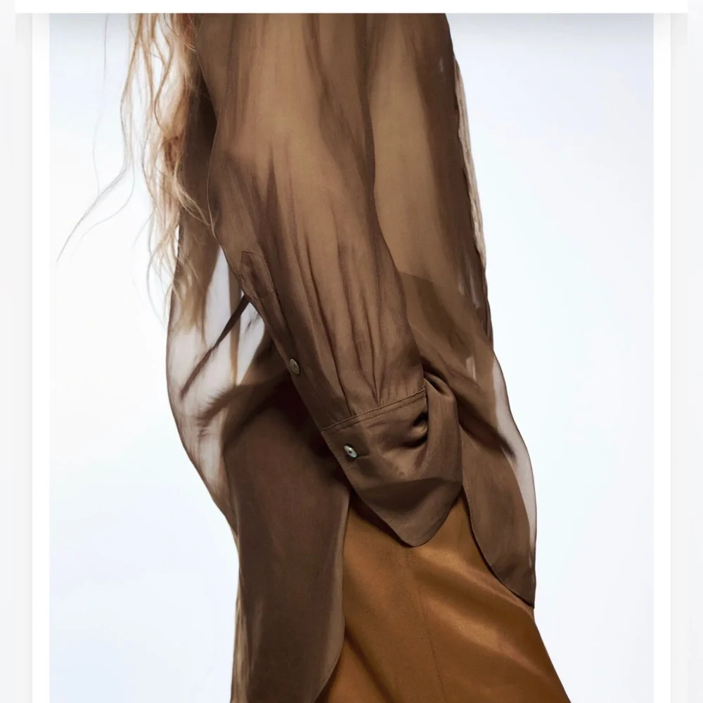 ZARA semi sheer shirt - Picture 13 of 14